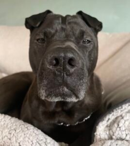 66543332785__9F716E19-9FEF-40DC-AA01-AC83A9AA8506